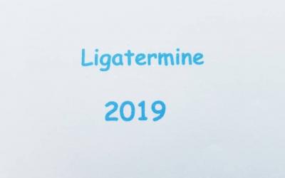 Liga 2019